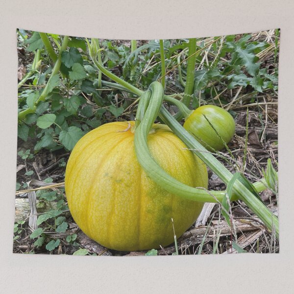 Item preview, Light Pumpkin designed and sold by Abeink1030.