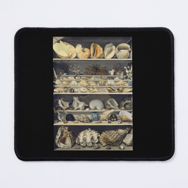 Item preview, Alexandre-Isidore-Leroy-De-Barde---Choix-De-Coquillages designed and sold by hladboste.
