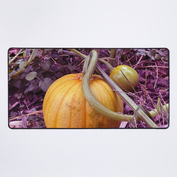 Item preview, Light Pumpkin 1.5 designed and sold by Abeink1030.