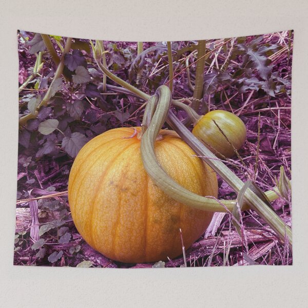 Item preview, Light Pumpkin 1.5 designed and sold by Abeink1030.