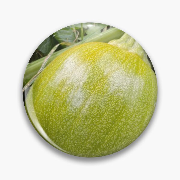 Item preview, Baby Green Pumpkin designed and sold by Abeink1030.