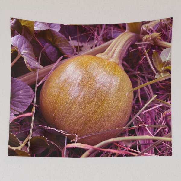 Item preview, Baby Green Pumpkin 1.4 designed and sold by Abeink1030.
