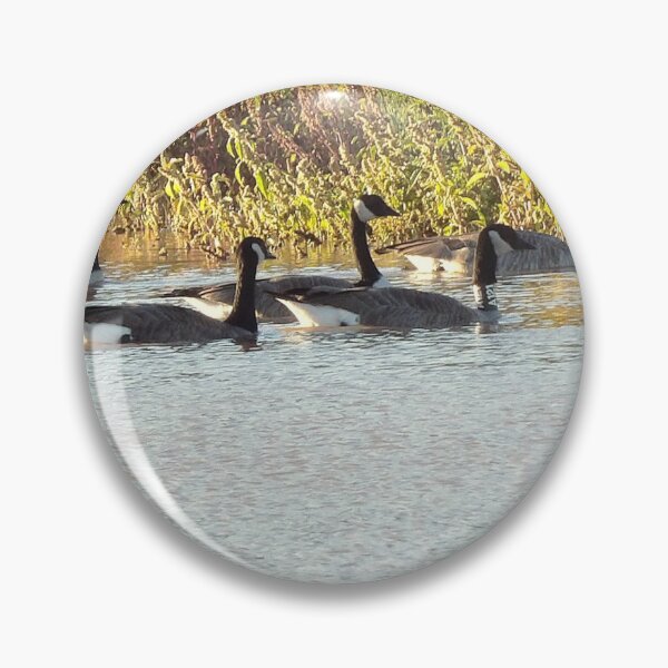 Item preview, Canada Geese (Color) designed and sold by DaezieDepictions.
