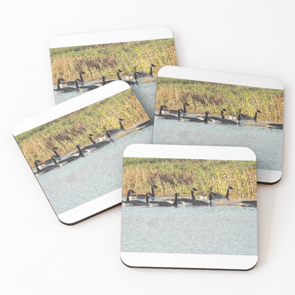 Item preview, Canada Geese (Color) designed and sold by DaezieDepictions.