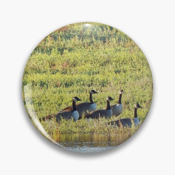 Item preview, Canada geese vibing designed and sold by DaezieDepictions.