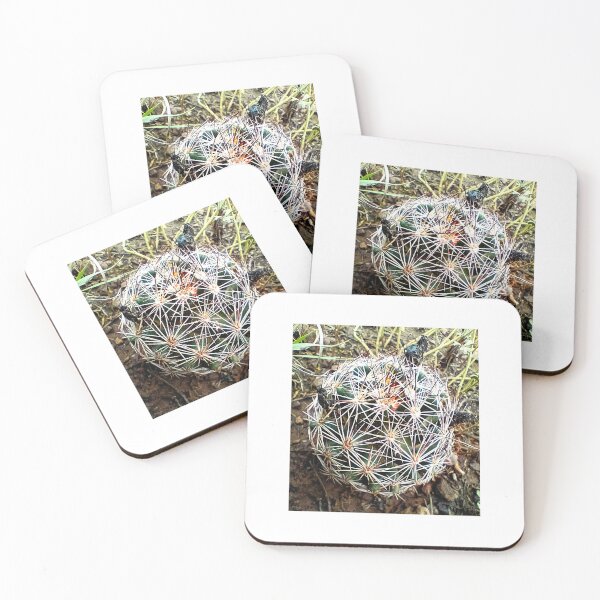 Item preview, Arizona Foxtail Cactus designed and sold by DaezieDepictions.