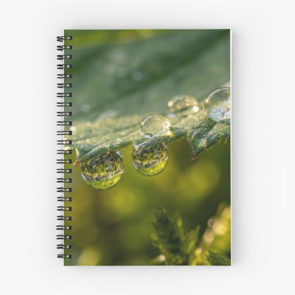 Item preview, Artwork 72623 designed and sold by KaiWaiGallery.