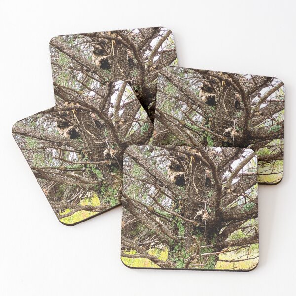 Item preview, Patterns in Pine designed and sold by DaezieDepictions.