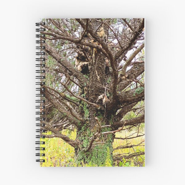 Item preview, Patterns in Pine designed and sold by DaezieDepictions.