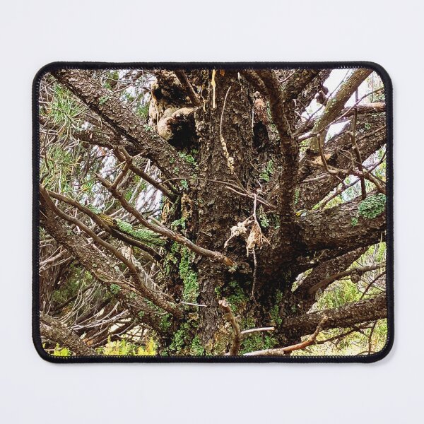 Item preview, Patterns in Pine designed and sold by DaezieDepictions.