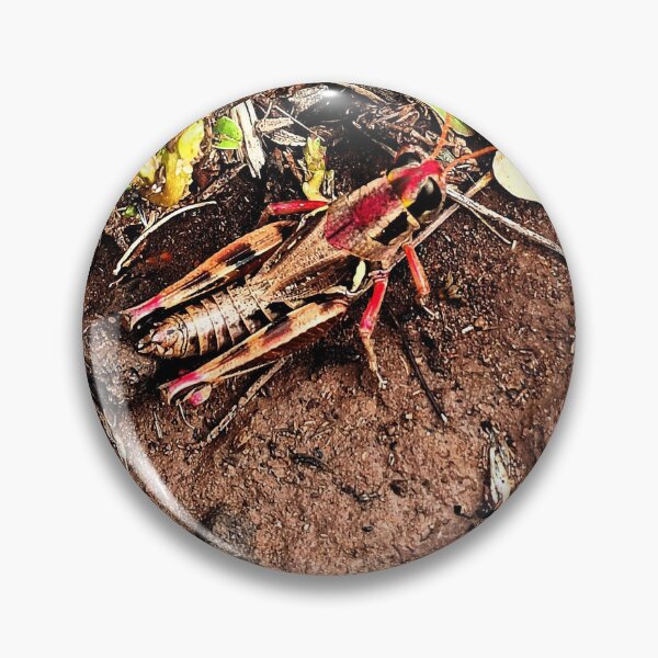 Item preview, Grasshopper designed and sold by DaezieDepictions.