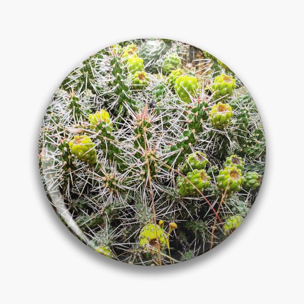 Item preview, Whipple Cholla designed and sold by DaezieDepictions.