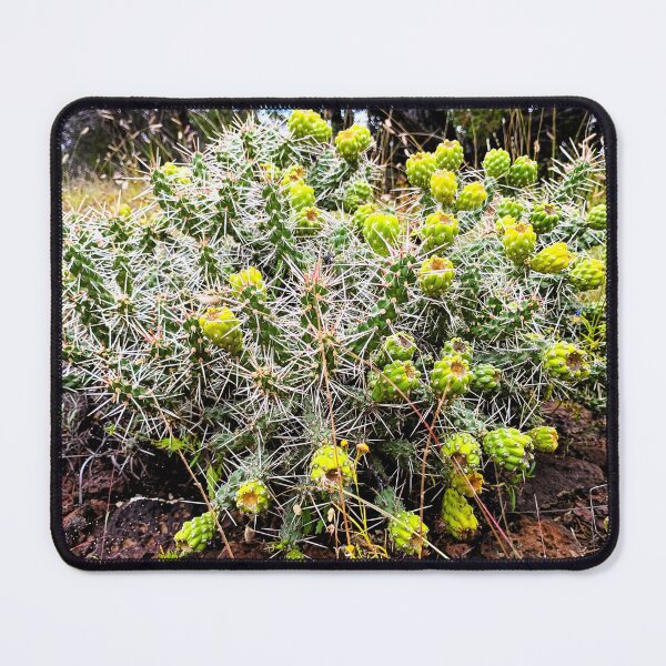 Item preview, Whipple Cholla designed and sold by DaezieDepictions.