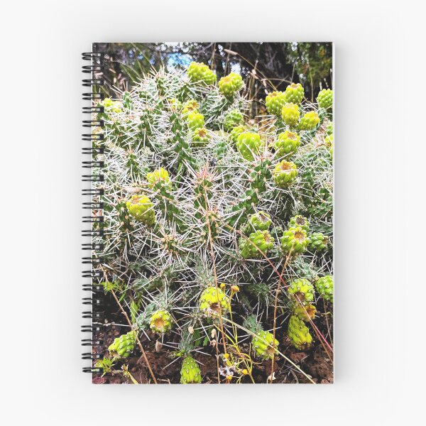 Item preview, Whipple Cholla designed and sold by DaezieDepictions.