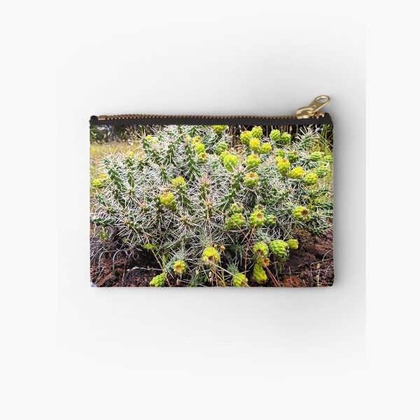 Item preview, Whipple Cholla designed and sold by DaezieDepictions.