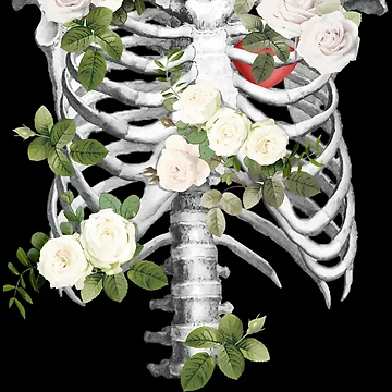 Artwork thumbnail, Anatomy-Ribcage-Rib-Cageskeleton-White-Roses by samekleek