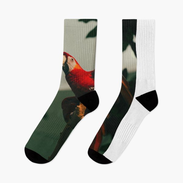 Item preview, Pigeon Fulham FC aCoffee Lover designed and sold by mthnubc.