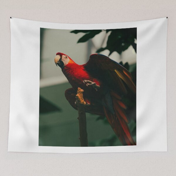 Item preview, Pigeon Fulham FC aCoffee Lover designed and sold by mthnubc.