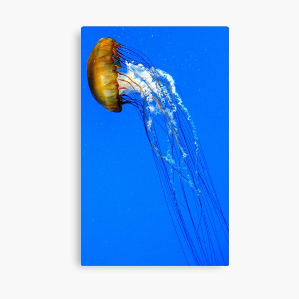 A Sharp Left Canvas Print