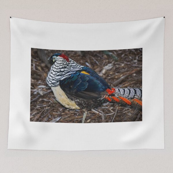 Item preview, Lady Amherst's Pheasant designed and sold by D-GaP.