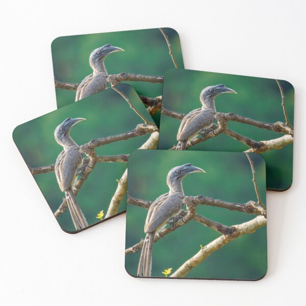 Item preview, Pigeon Papa John's Pizza bDetective Mystery designed and sold by mthnubc.
