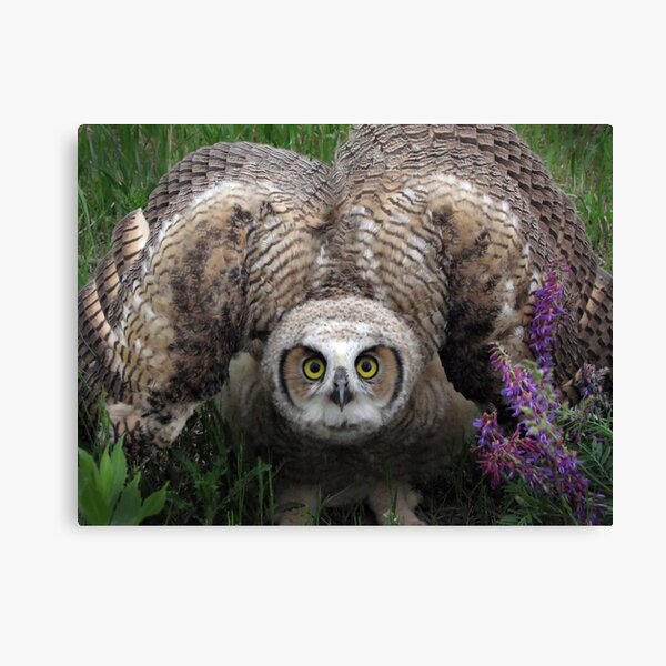 I'm Really HUGE Canvas Print