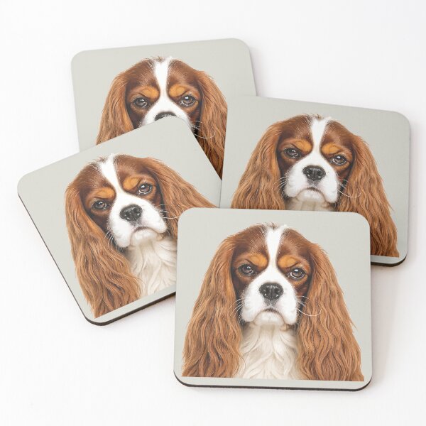 Item preview, CKCS Blenheim Chestnut-and-white designed and sold by taiche.