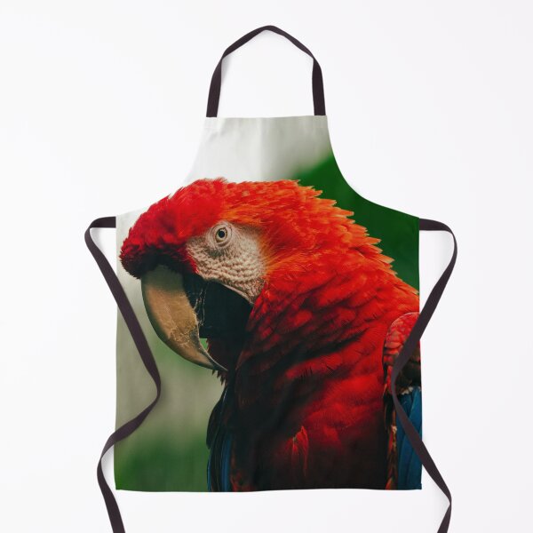 Item preview, Picnic Catering Essentials designed and sold by Simkfoth.