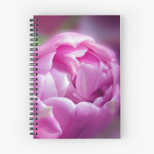 Artikelvorschau, Eine lockige, leuchtend rosa Tulpe im Garten entworfen und verkauft von JonnaHurmerinta.