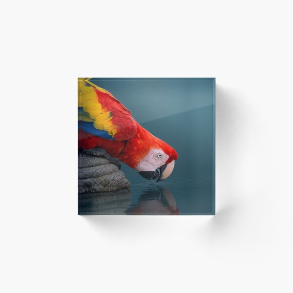 Item preview, Adriatic Sea Dreams designed and sold by Nicholasgaoes.