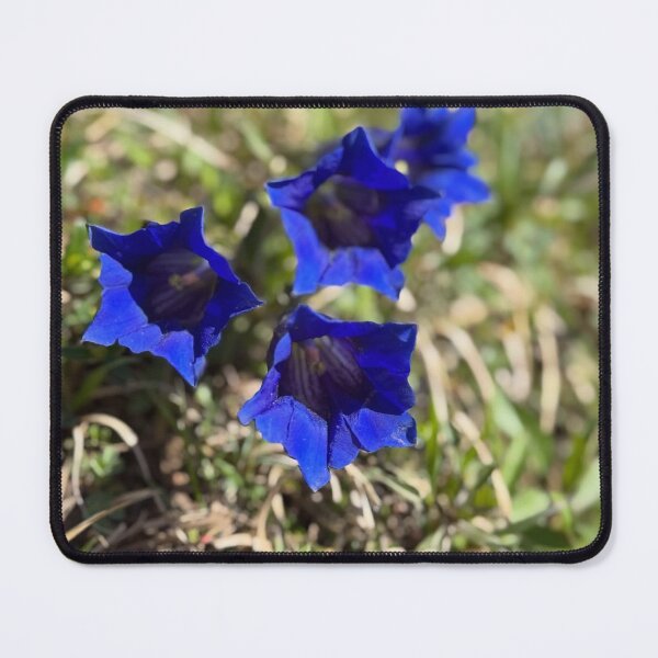 Item preview, Elegant Sage Leaves designed and sold by Federicadaoffa.