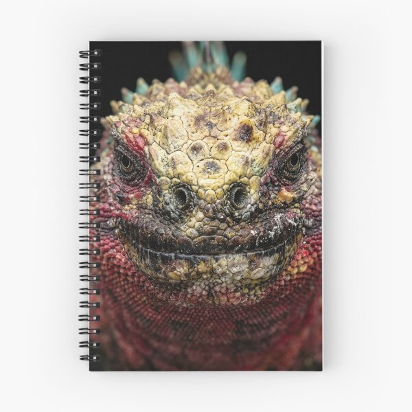Item preview, Vis Island Adventure designed and sold by Nicholasgaoes.