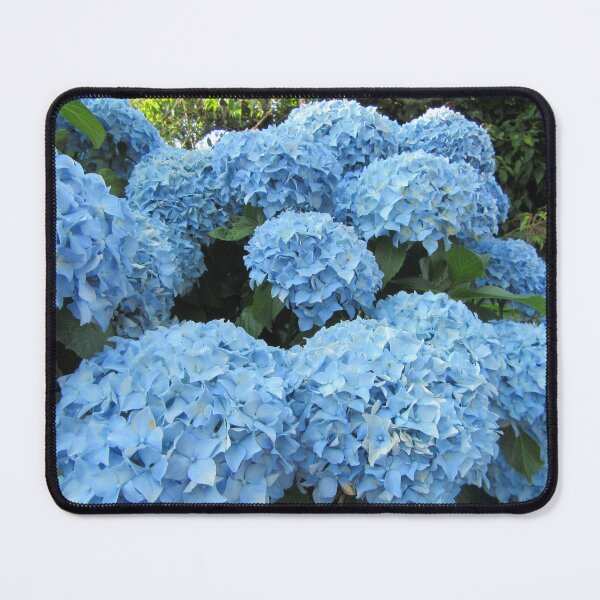 Item preview, Blue Hydrangeas designed and sold by lezvee.