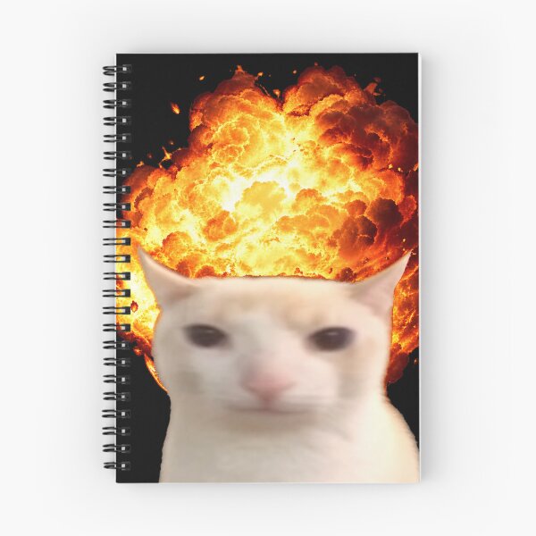 Aperçu de l'œuvre Chat explosif créée et vendue par Tobi_Inkz.
