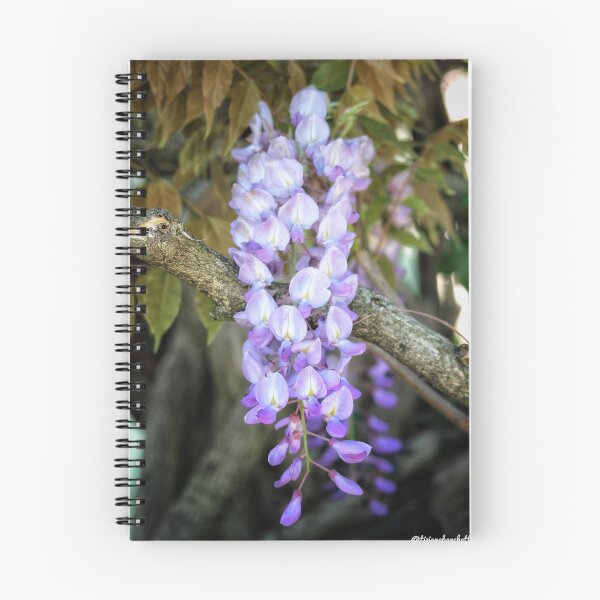 Item preview, Lemon Balm Botanical designed and sold by Federicadaoffa.