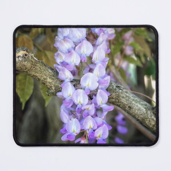 Item preview, Lemon Balm Botanical designed and sold by Federicadaoffa.