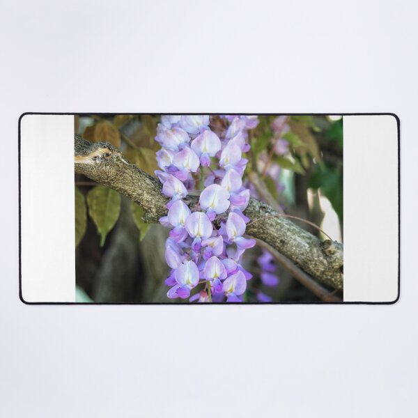 Item preview, Lemon Balm Botanical designed and sold by Federicadaoffa.