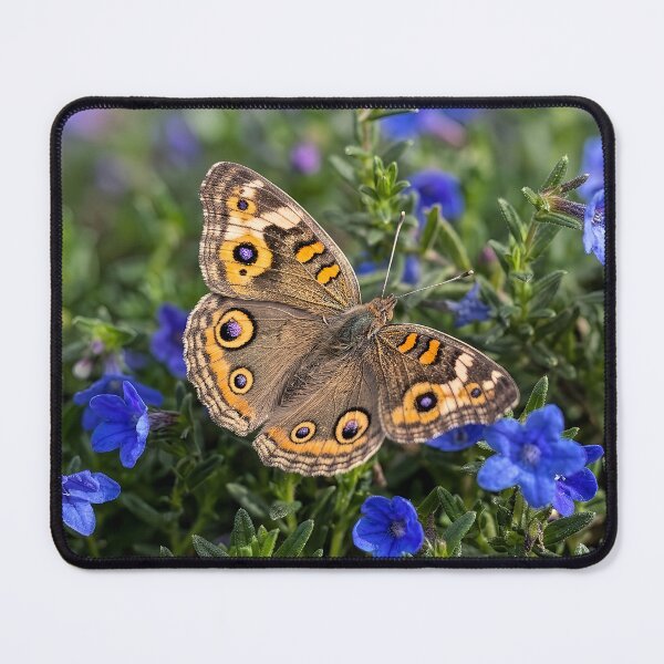 Item preview, Meadow Argus Butterfly designed and sold by pawprintz.