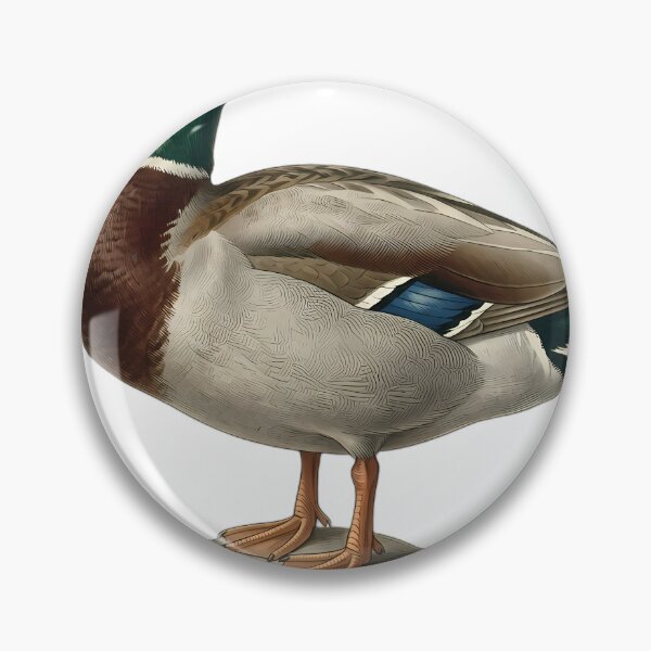 Item preview, Vintage Naturalist Mallard Drake — Antique Waterfowl Plate designed and sold by Catch333.