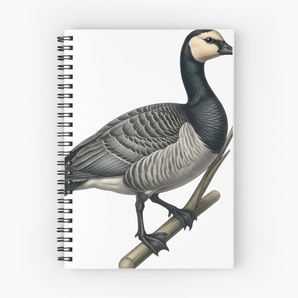 Item preview, Vintage Naturalist Barnacle Goose — Antique Waterfowl Art designed and sold by Catch333.