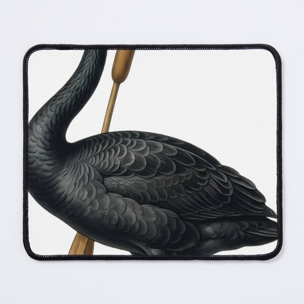 Aperçu de l'œuvre Vintage Naturalist Black Swan — Antique Waterfowl Art créée et vendue par Catch333.