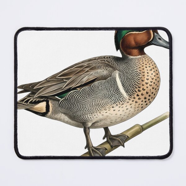 Item preview, Vintage Naturalist Eurasian Teal — Antique Duck Plate designed and sold by Catch333.