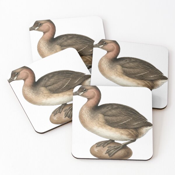 Item preview, Vintage Naturalist Little Grebe — Antique Water Bird Art designed and sold by Catch333.