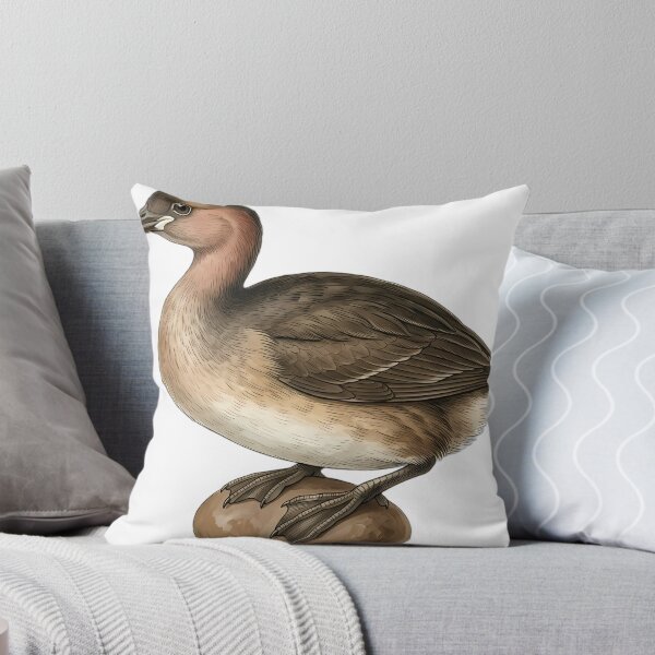 Aperçu de l'œuvre Vintage Naturalist Little Grebe — Antique Water Bird Art créée et vendue par Catch333.