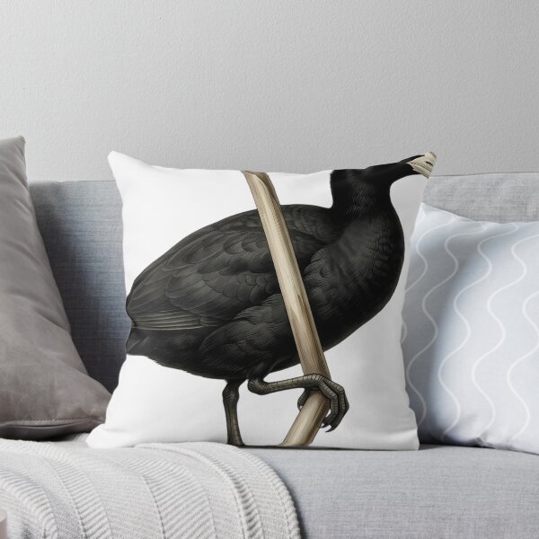 Aperçu de l'œuvre Vintage Naturalist Eurasian Coot — Antique Bird Plate créée et vendue par Catch333.