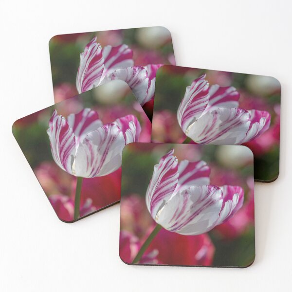 Item preview, The Painted Tulip designed and sold by Twisted Light Images.
