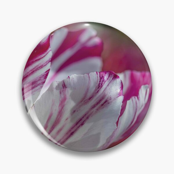 Item preview, The Painted Tulip designed and sold by Twisted Light Images.