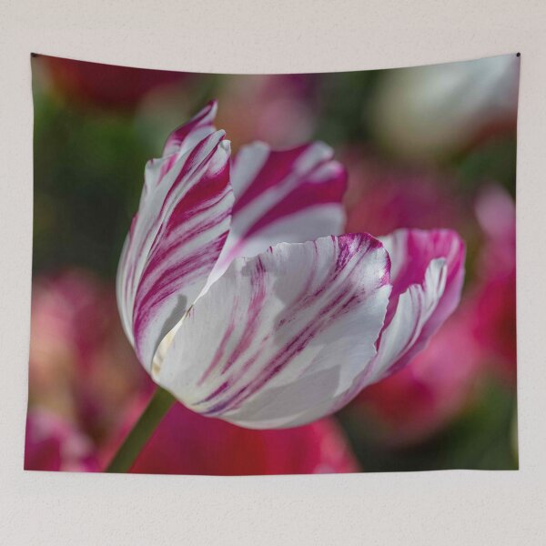 Item preview, The Painted Tulip designed and sold by Twisted Light Images.