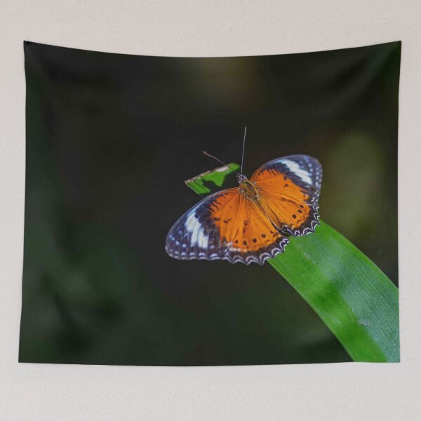 Item preview, Butterfly Wings of Amber and Lace designed and sold by Twisted Light Images.