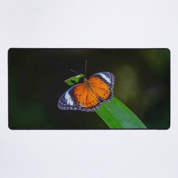 Item preview, Butterfly Wings of Amber and Lace designed and sold by Twisted Light Images.